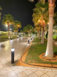 DHA Phase 3 Lahore residential area with greenery